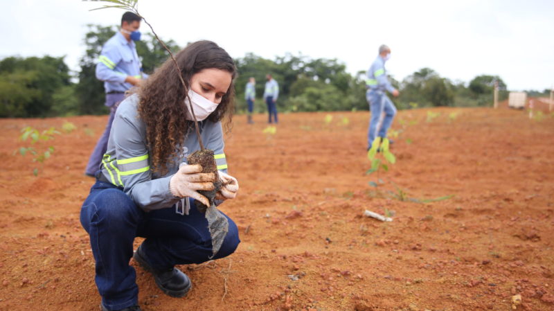 TRILHA ECOLÓGICA EM ÁREAS MINERADAS