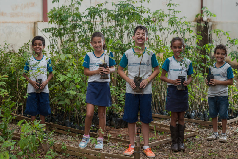 EDUCAÇÃO AMBIENTAL: PROJETO RAÍZES DO SABER