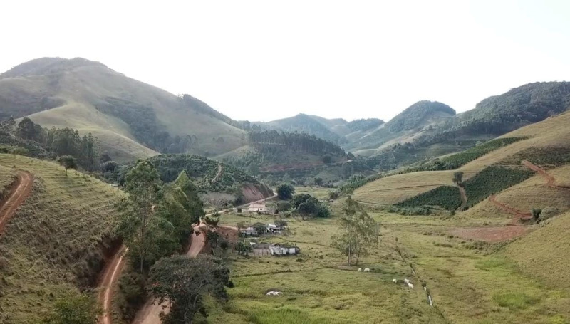 ESTUDOS DA CBA AUXILIAM NA CONSERVAÇÃO DA ZONA DA MATA