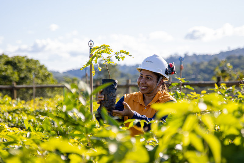 APPIAN BRAZIL REVITALIZA MAIS DE 96 HECTARES DE MATA ATLÂNTICA