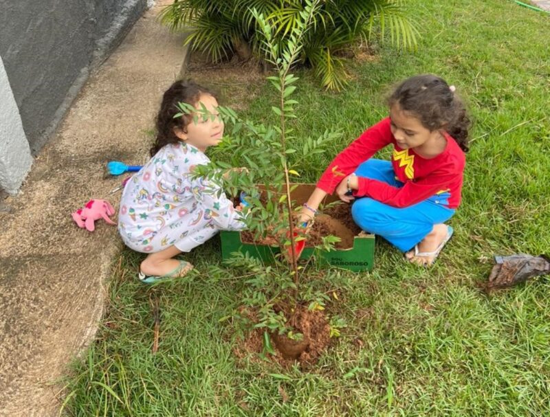 VOLUNTARIAR ECOSSUSTENTÁVEL