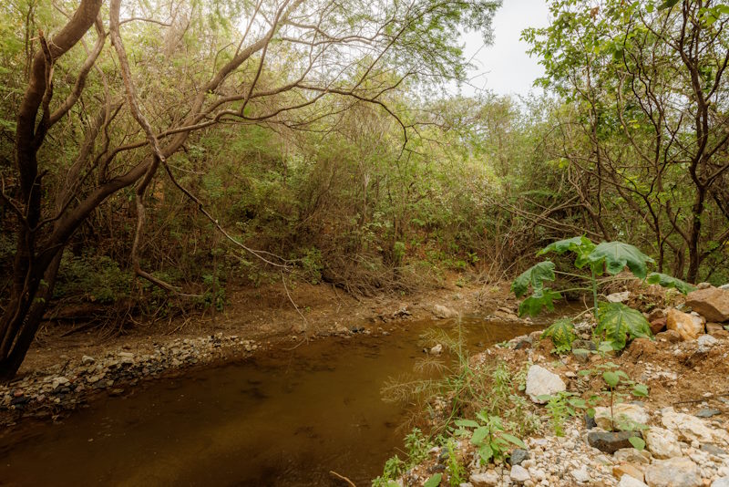 UMA DÉCADA SUSTENTÁVEL EM MARACÁS