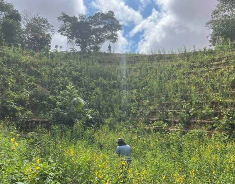 HYDRO: ENGENHARIA NATURAL PARA ESTABILIZAÇÃO DE ENCOSTAS